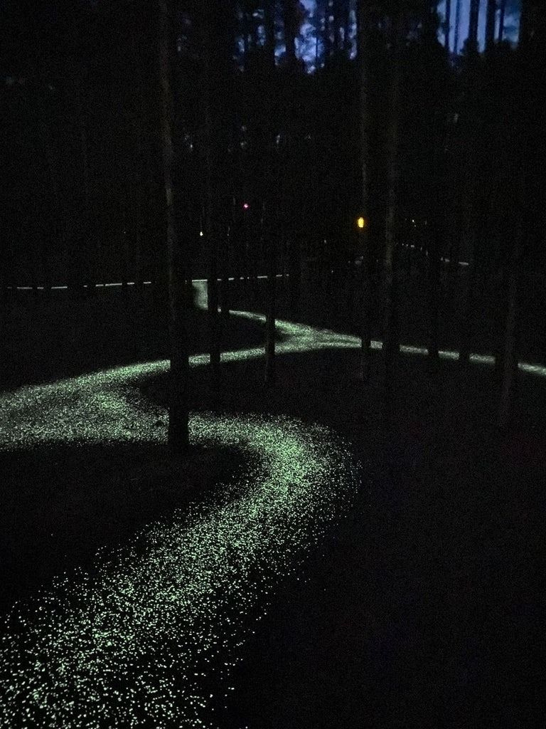 Glowing night path through forest