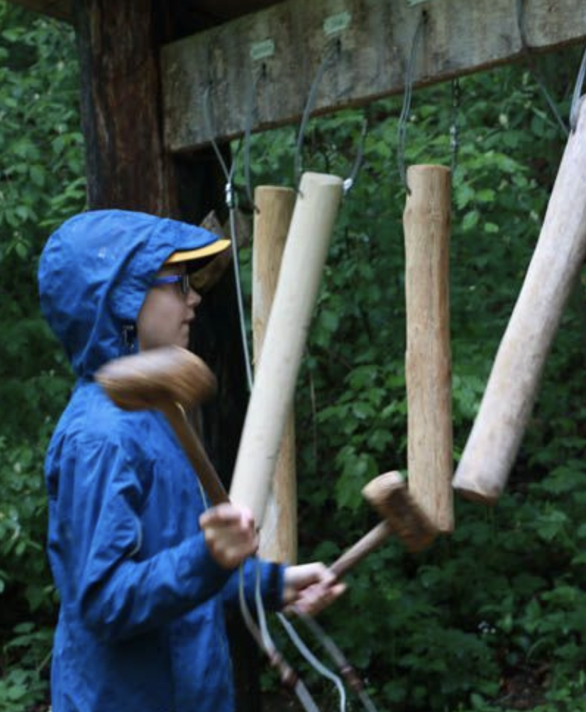 Forest play — Sendero Sur
