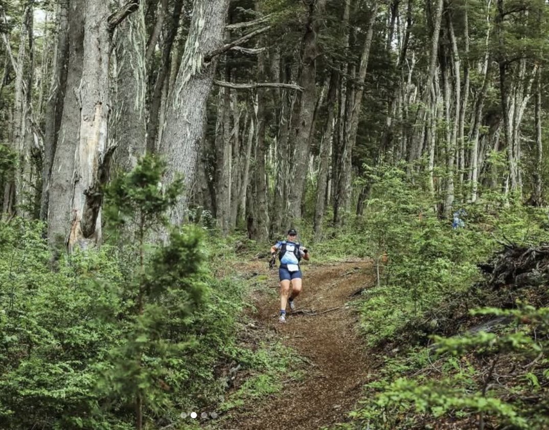 Los Senderos — trail running through the coihue forest