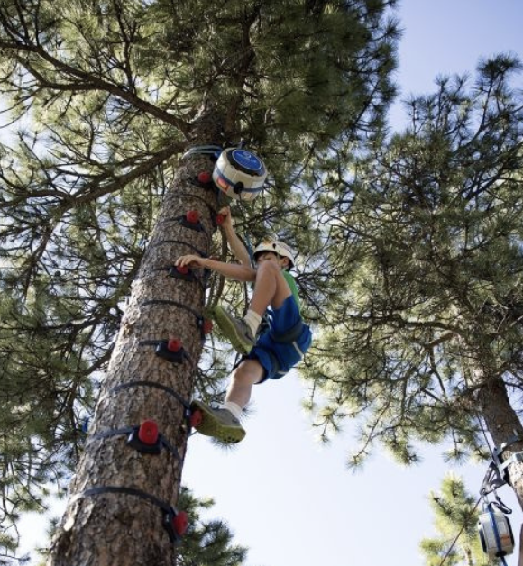 Tree climbing — Sendero Sur